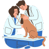 Oftalmologia - Clinica Veterinaria Hispanidad